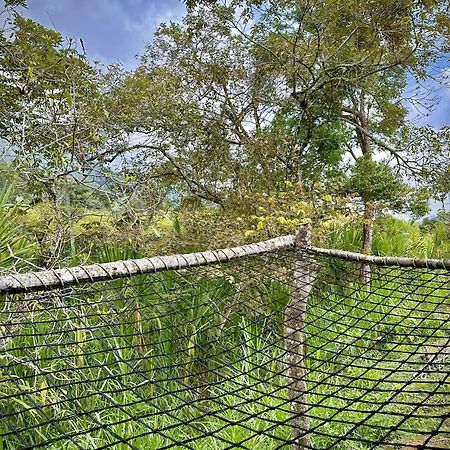 Finca Ecoparaiso Ибаге Экстерьер фото