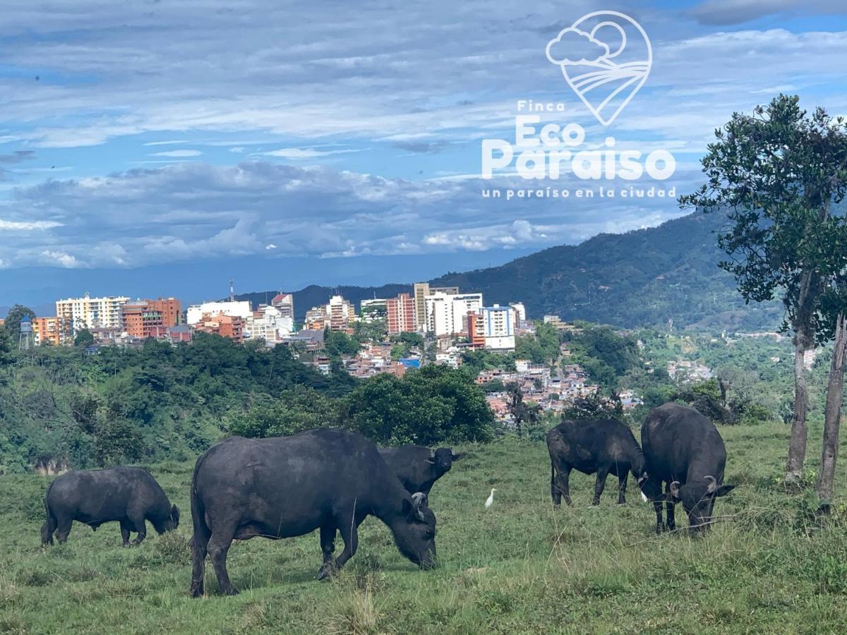 Finca Ecoparaiso Ибаге Экстерьер фото