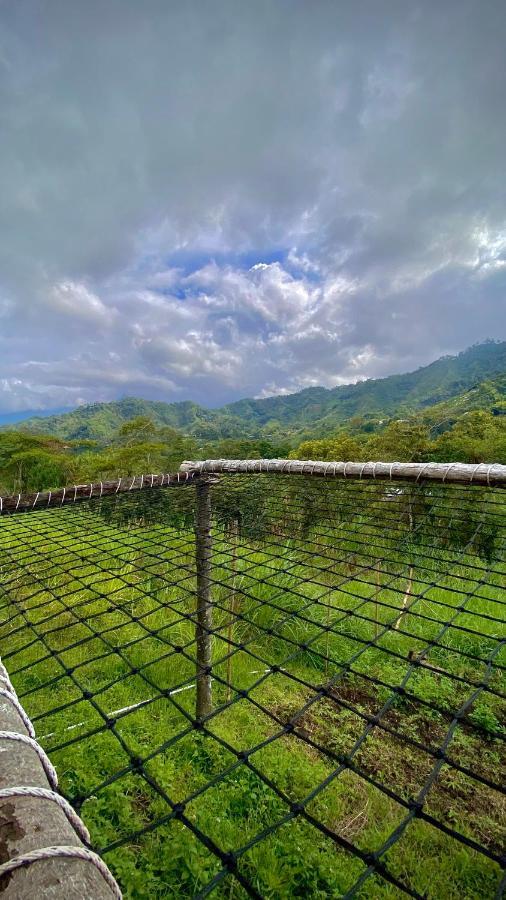Finca Ecoparaiso Ибаге Экстерьер фото
