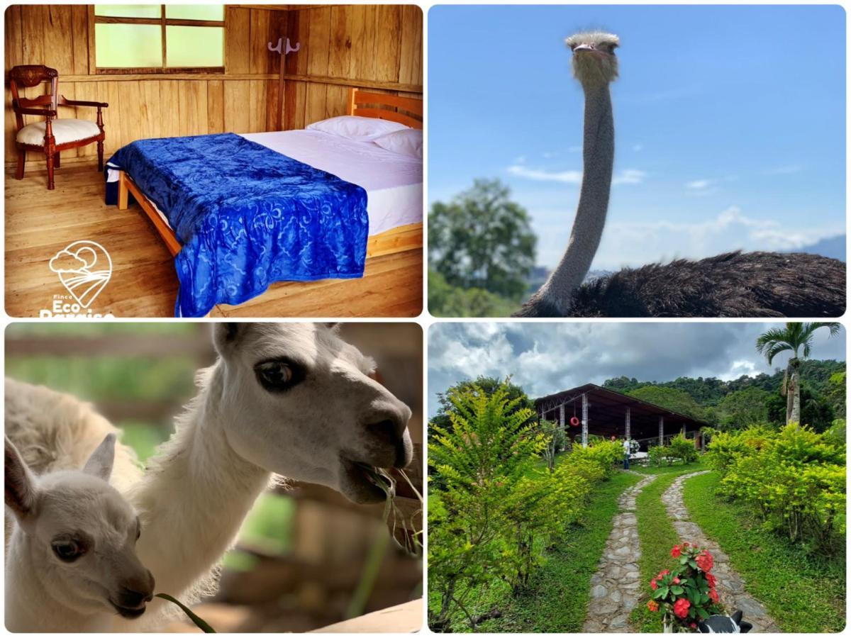 Finca Ecoparaiso Ибаге Экстерьер фото