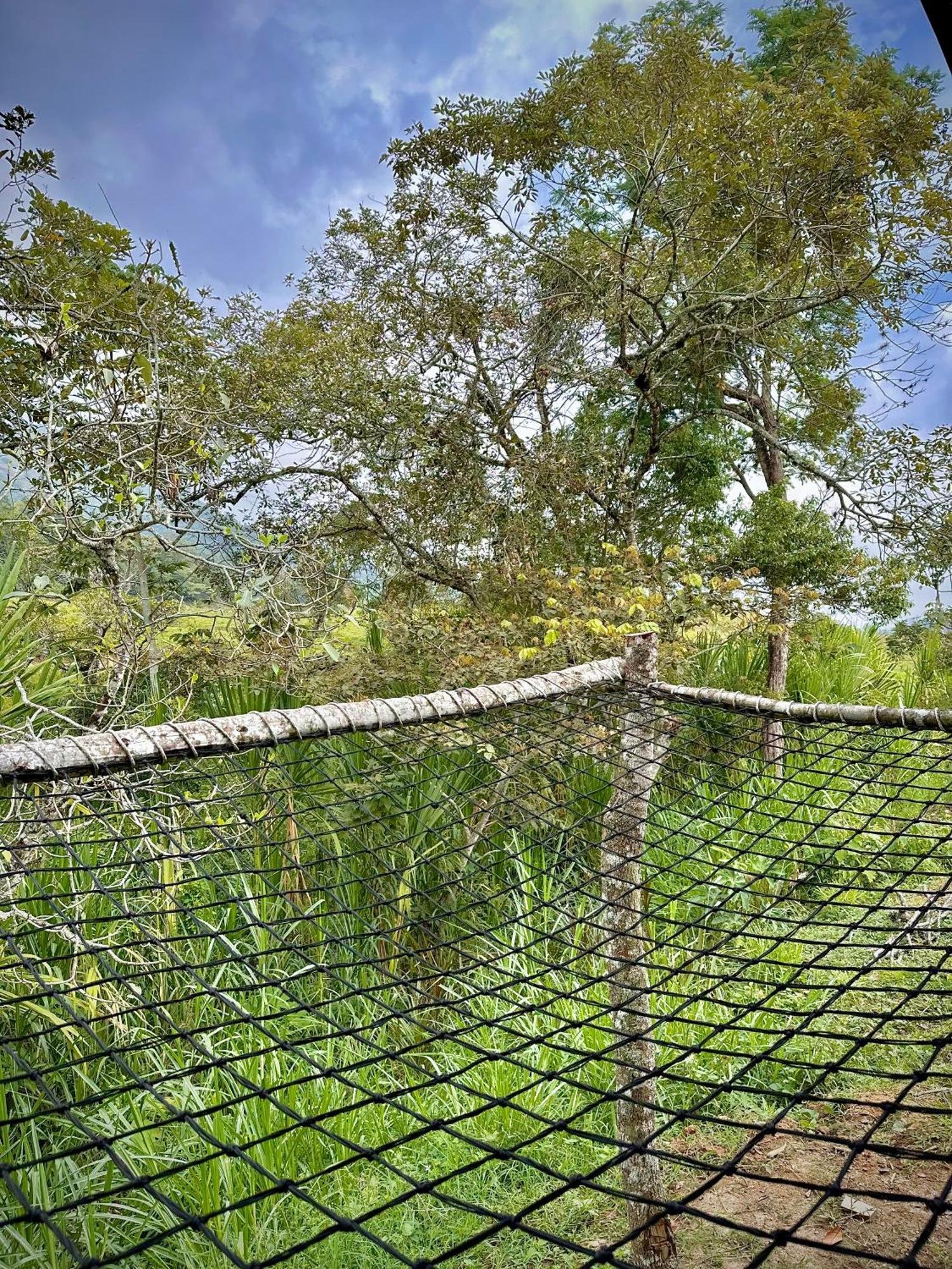 Finca Ecoparaiso Ибаге Экстерьер фото